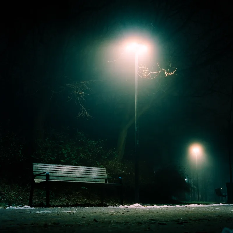 the bench shot on Cinestill 800T with a Mamiya C220, developed at Home / Self-Developed, by Chris