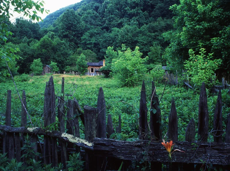 Film photo shot on Fujifilm Velvia 50 with a Zenza Bronica ETRS, developed at Meisel, by Carlyle