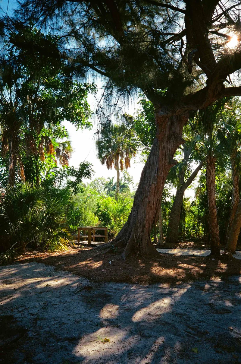 Film photo shot on Kodak UltraMax 400 with a Kodak SnapicA1, by Josh