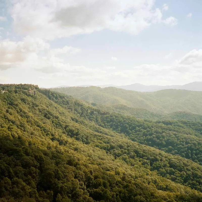Appalachian Mountains shot on Cinestill 400D with a Mamiya C330, developed at Southeastern Camera Carrboro, by Gatofilm