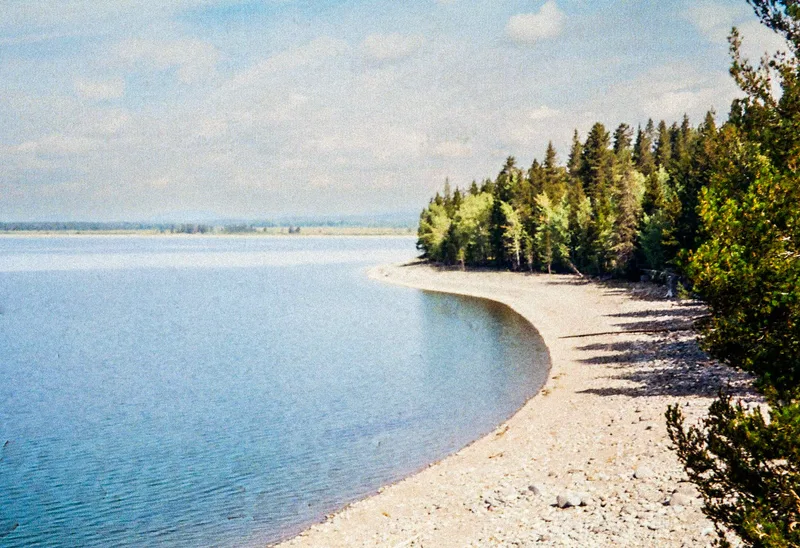 Shore curve shot on Fujifilm Superia X-TRA 400 with a Minolta Freedom Zoom 70, by Katelin