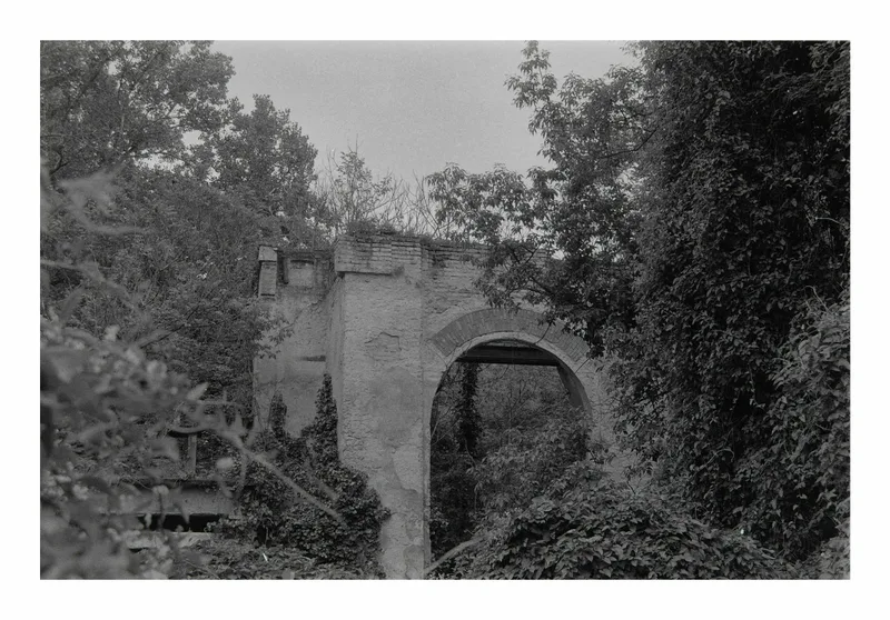 Reclaimed shot on Agfa APX 400 with a Nikon F50, developed at Home / Self-Developed, by AkosArnold
