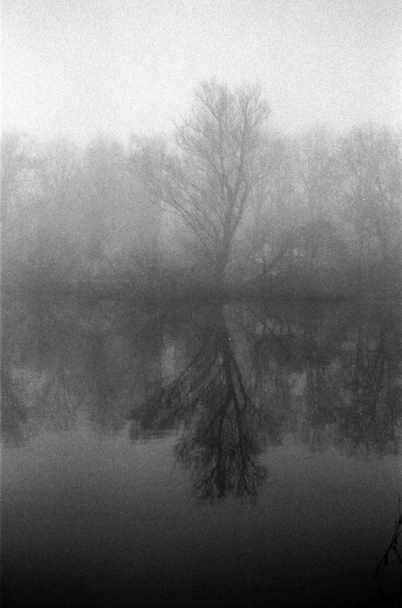 Foggy Hamburg shot on Ilford Kentmere Pan 400 with a Leica M4-P, developed at Spieker Film Lab, by Simon Reindl