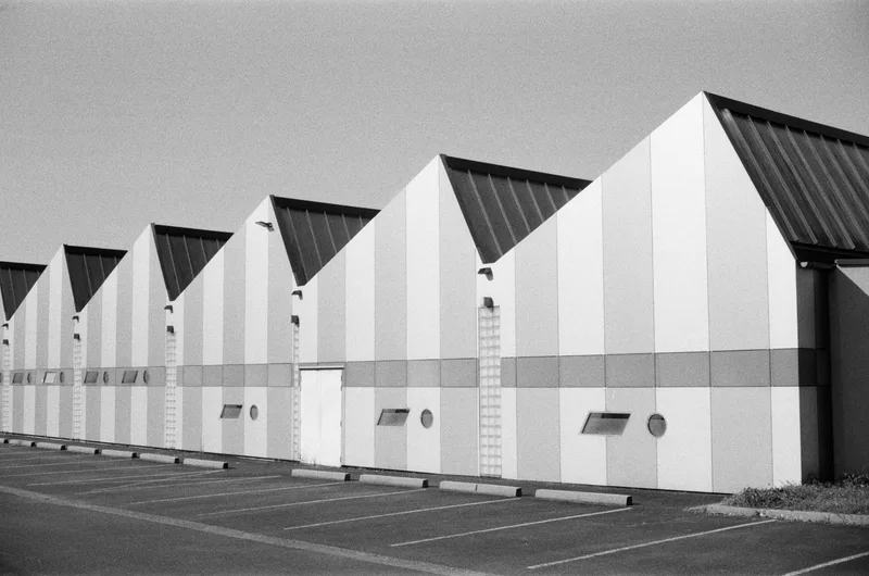 Clones shot on Rollei RPX 400 with a Konica Auto S2, developed at L'Atelier Argentique, by alvahgoldbook