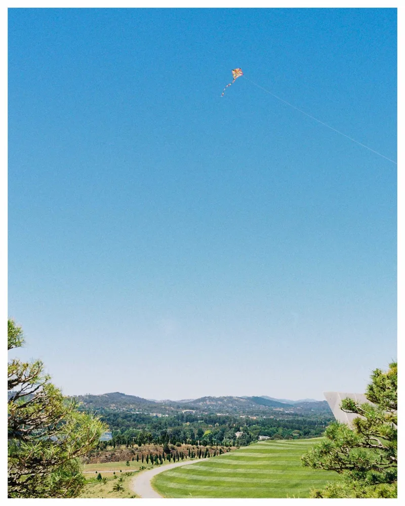 Flying High shot on Kodak Portra 800 with a Nikon FE 2, developed at Ikigai Film Lab, by James