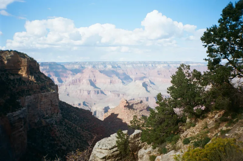 Shadows across the Canyon, South Point shot on Kodak Ektar 100 with a Olympus TripMD3, developed at The Film Safe, by Ben