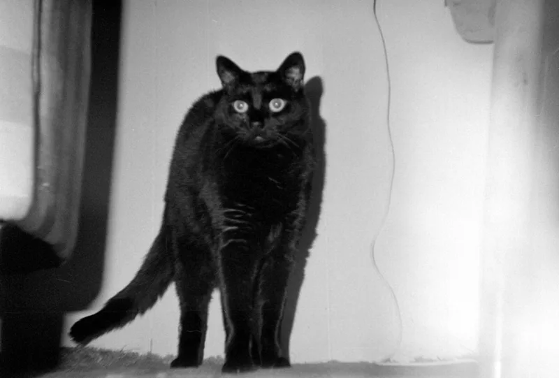 Bash doing the BIG STRETCH shot on Kodak Tri-X 400 with a Lomography Konstruktor, developed at Home / Self-Developed, by Murry Shotwell