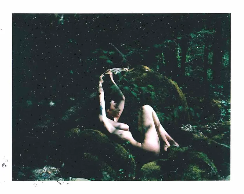 Forest nymph shot on Fuji FP100C Silk with a Polaroid Land Camera 195, developed at Home / Self-Developed, by Robster lobster