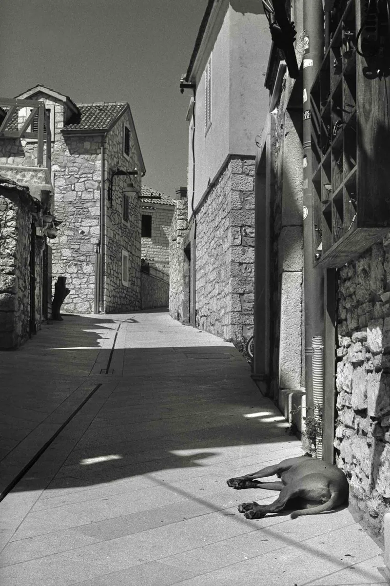 heat shot on Foma Fomapan 100 Classic with a Nikon EM, by rafaln70