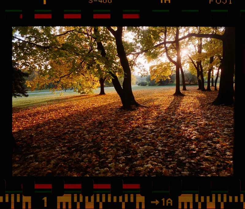 Film photo shot on Fujifilm Superia X-TRA 400 with a Nikkormat FTN, by Mike