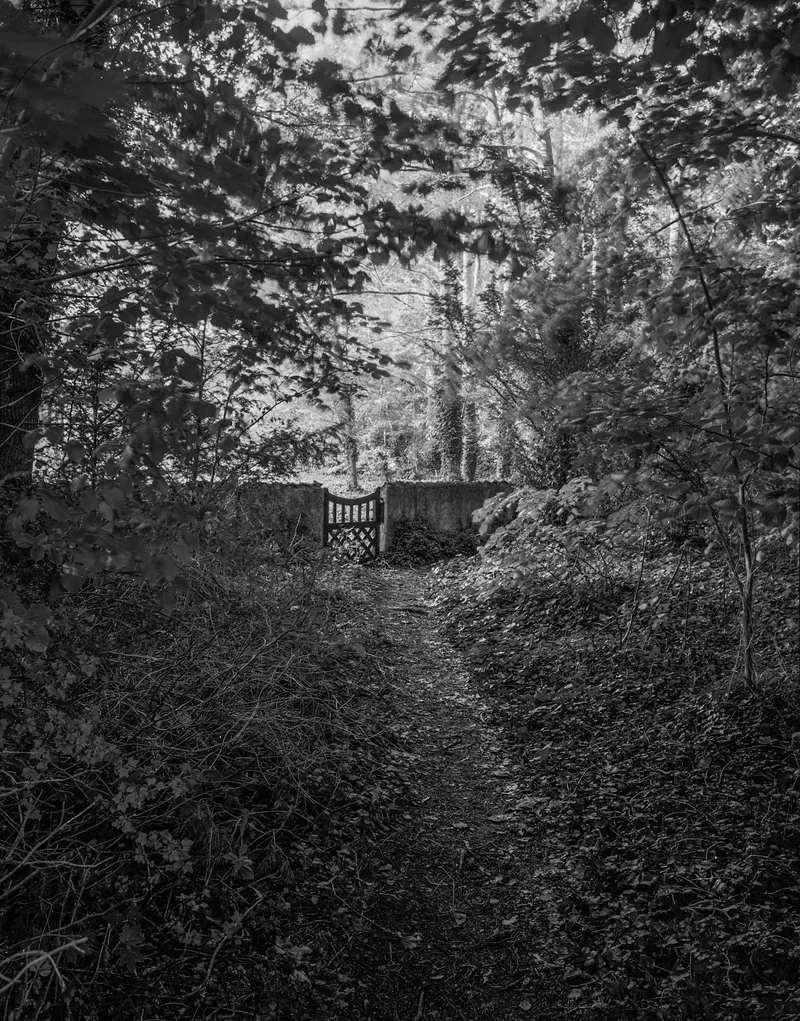 Film photo shot on Ilford FP4 Plus 125 with a Chamonix 810v, by PatrickT
