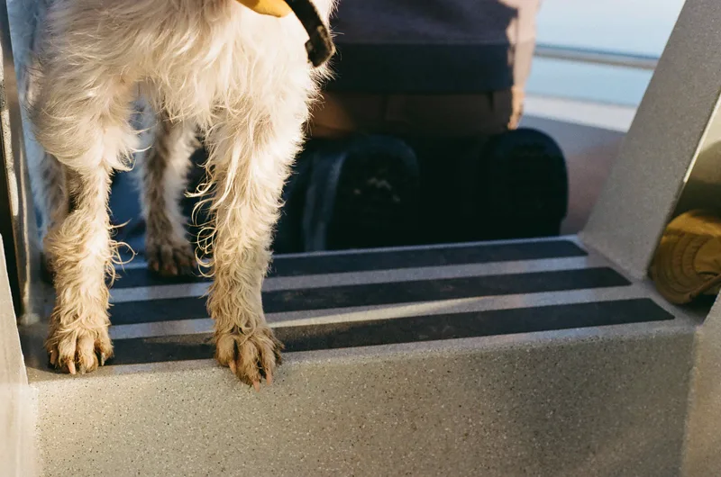 Archie shot on Kodak Gold 200 with a Canon AE-1, developed at Bleeker Digital Solutions, by Kim