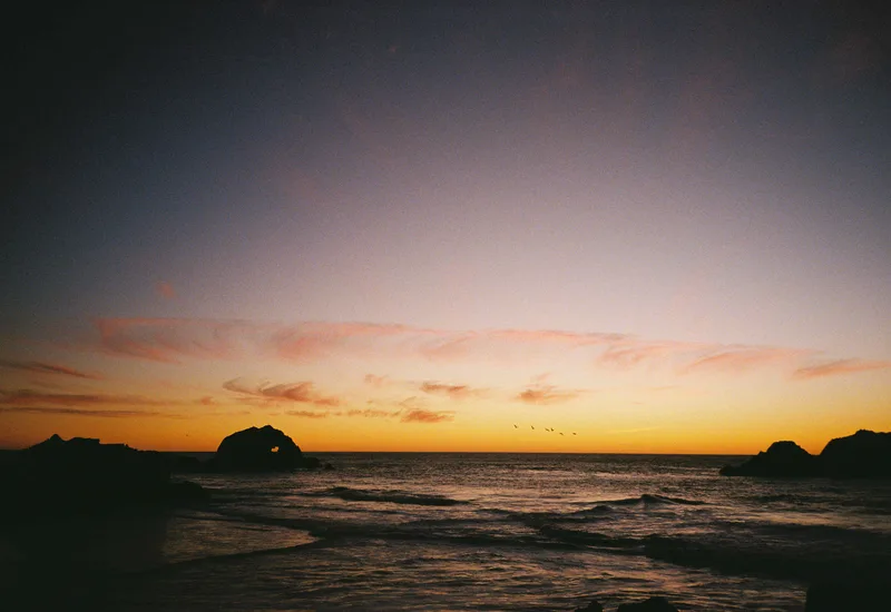 Film photo shot on Kodak UltraMax 400 with a Fujifilm WorkRecord, developed at Boutique Film Lab, by Gaby Salinas