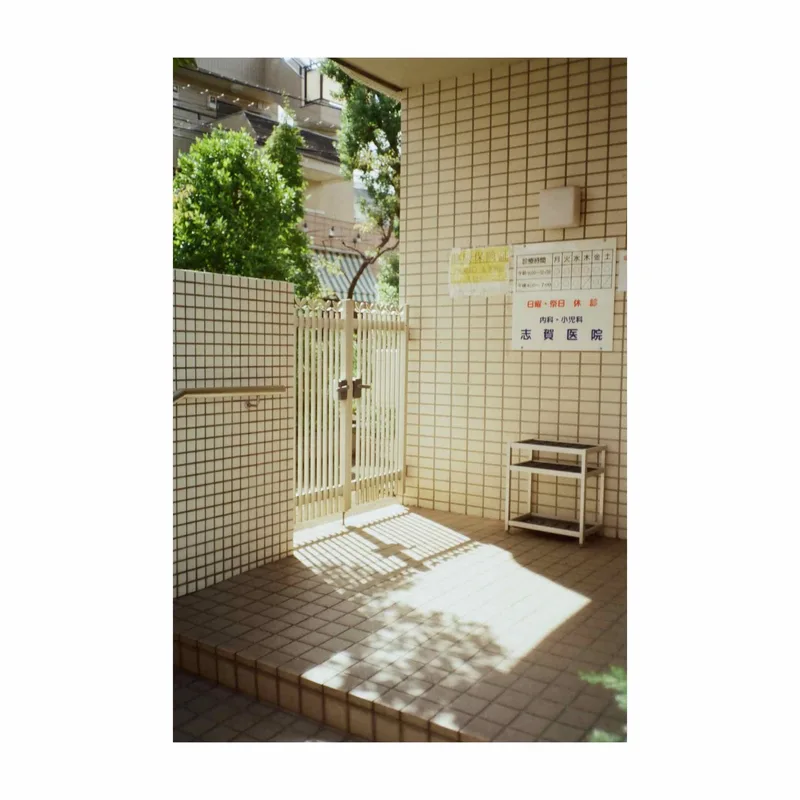 Feels so warm shot on Kodak ColorPlus 200 with a Canon AF35M, by amelshootsfilm