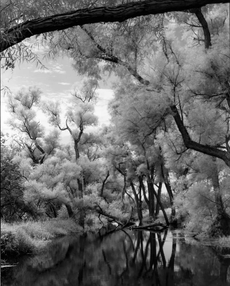 Hakbarth Trail shot on Ilford SFX 200 with a Pentax 6x7 MLU, developed at Home / Self-Developed, by Scott Zempel