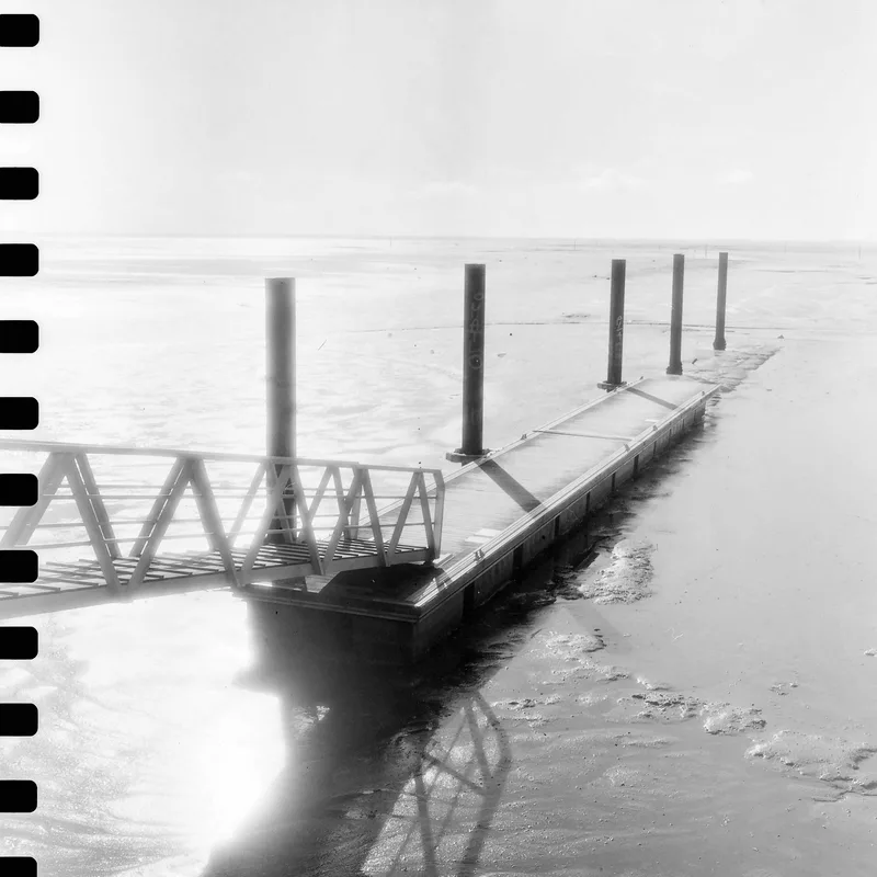 Washi K shot on Washi Washi k with a Rolleicord Vb, developed at Home / Self-Developed, by Cyril b.