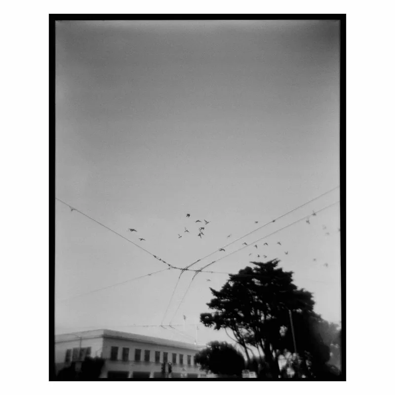 Film photo shot on Cinestill BWXX with a Holga 120 SF, developed at Photoworks SF, by adam wilson
