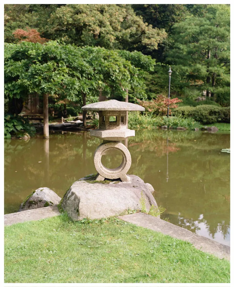 ⏺️ shot on Kodak Gold 200 with a Pentax 6x7 MLU, developed at Shot on Film Store, by Spencer Leal