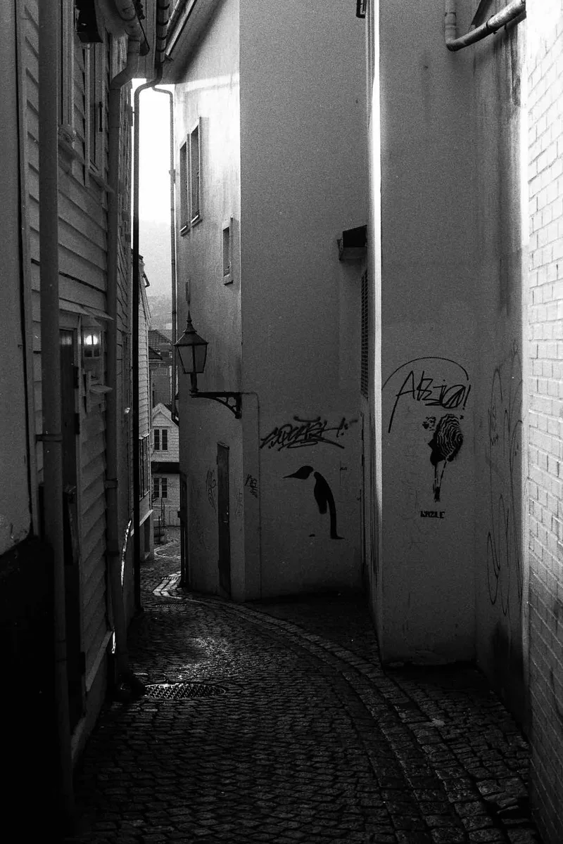 Smau shot on Rollei RPX 400 with a Nikon F2, developed at Home / Self-Developed, by Nicolai Gjellestad