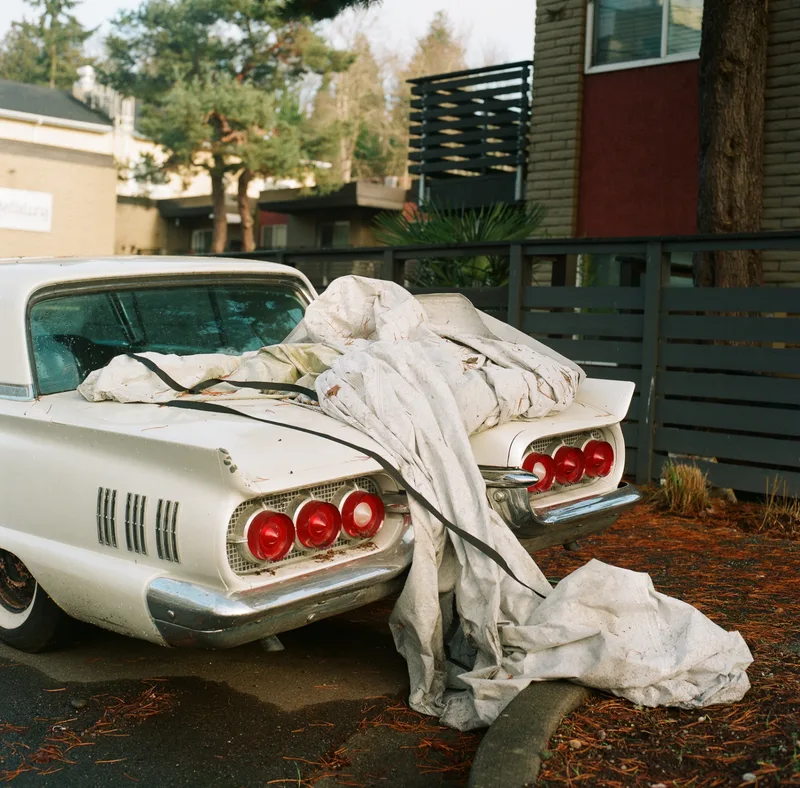 Film photo shot on Kodak Portra 800 with a Hasselblad 500C/M, developed at Panda Lab, by Marcus