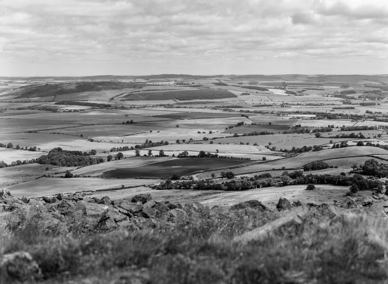 Patchwork shot on Ilford HP5 Plus 400 with a Mamiya M645 1000s, developed at Not Quite North, by Guesty