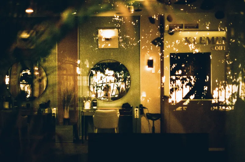 Passage shot on Harman Phoenix 200 with a Canon Canonet QL19, developed at L'Atelier Argentique, by alvahgoldbook