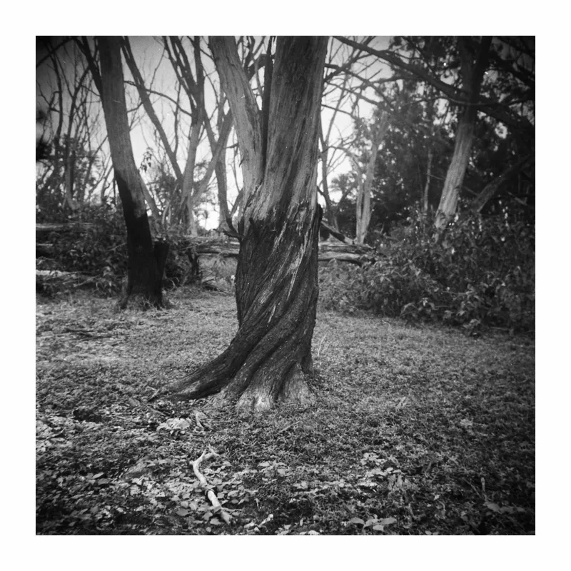 Twisted shot on Foma Fomapan 100 Classic with a Yashica Mat 120G, developed at Home / Self-Developed, by Biswajit