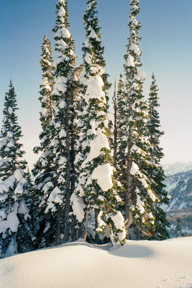 Sunset in the Wasatch shot on Kodak Gold 200 with a Nikon ZoomTouch500QD, developed at Home / Self-Developed, by Dan Schneider