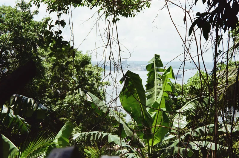 Film photo shot on Kodak ColorPlus 200 with a Minolta Freedom Action Zoom, by Wuu