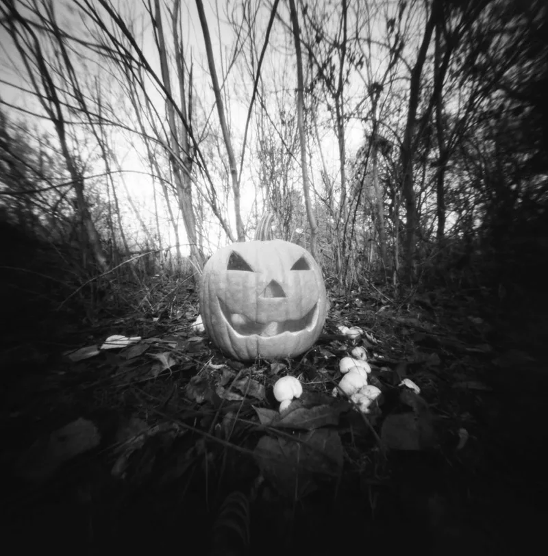 Mr. Pumpkin shot on Lomography Potsdam Kino BW 100 with a MIA 6×6, developed at Nice Film Club, by Mark Scheuern