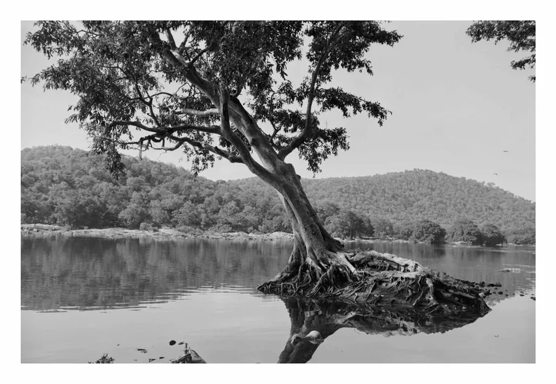 Standing still with the current shot on Ilford Delta 100 with a Nikkormat FT2, developed at Home / Self-Developed, by Biswajit