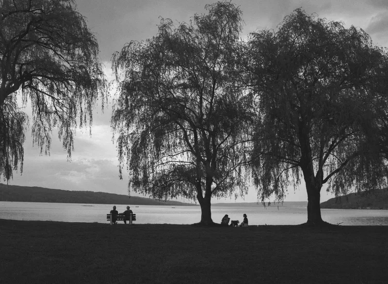 By the Lake shot on Kodak T-Max 400 with a Mamiya 645E, developed at Home / Self-Developed, by J Isles