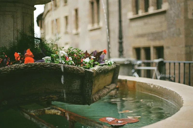 Fountain shot on Kodak UltraMax 400 with a Canon AE-1, developed at Camera Corral, by Kim