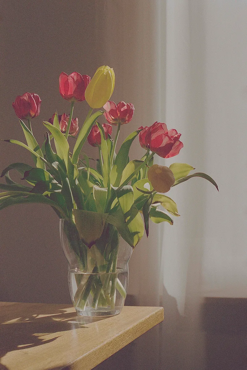 Another set of flowers shot on Kodak Portra 400 with a Canon AE-1, developed at Foto Schelfhout, by Arthur Fonteyn