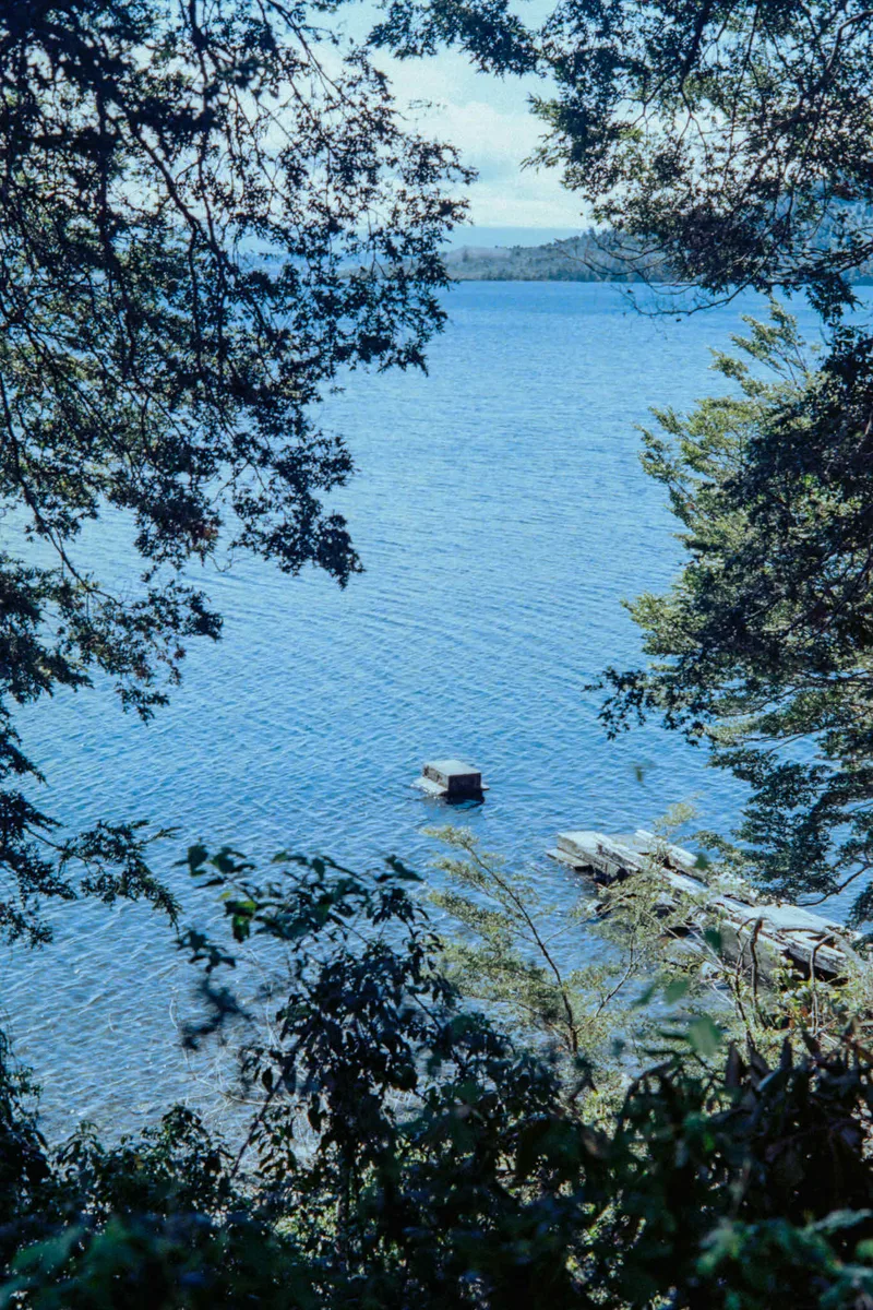 Film photo shot on Kodak Ektar 100 with a Pentax ME Super, developed at Anonima Lab, by Valentina Federici