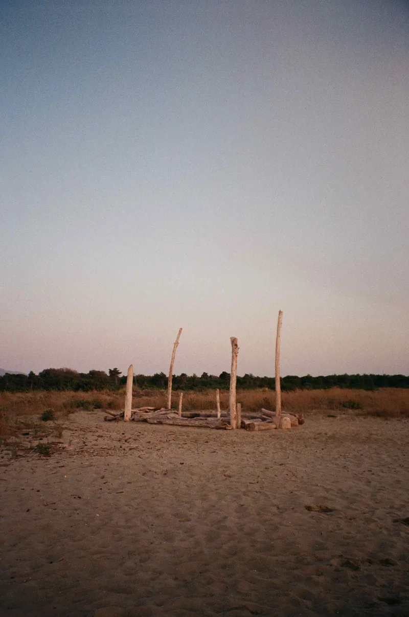 Film photo shot on Kodak Gold 200 with a Canon PrimaZoom70F, by Ayşegül