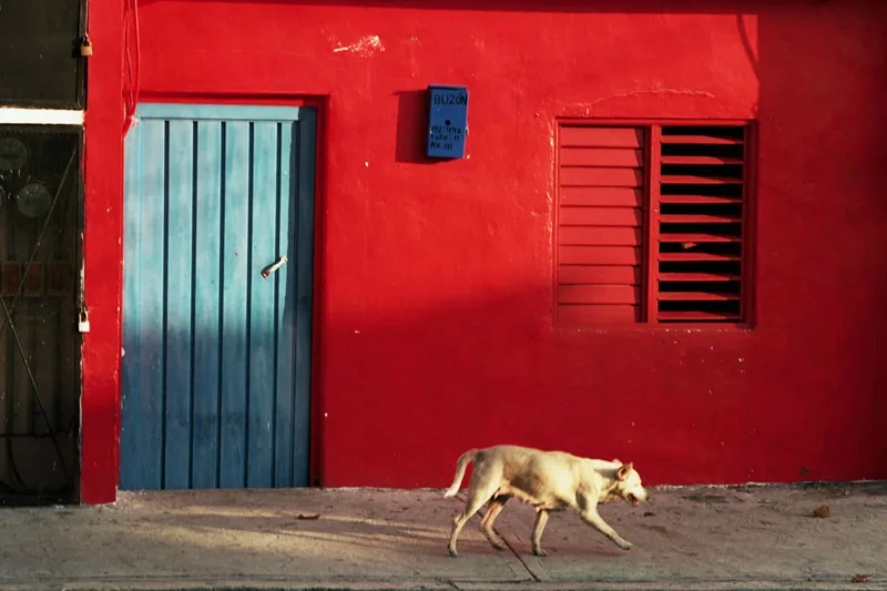 Love this film shot on Kodak Ektar 100 with a Minolta SR-T 101, by Lorocco