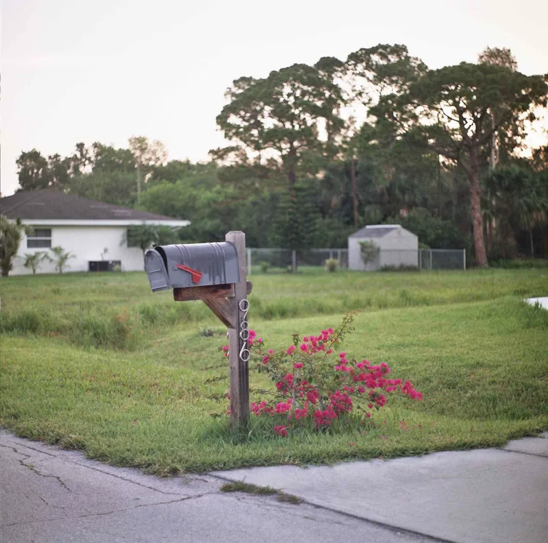 Blooming by the box shot on Kodak Gold 200 with a Kiev 6C, by Robert Fernandez
