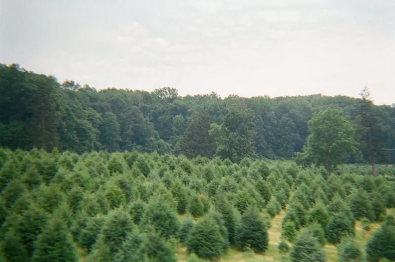 Film photo shot on Fujifilm 400 with a Lomography Konstruktor, developed at New York Camera & Video, by Murry Shotwell