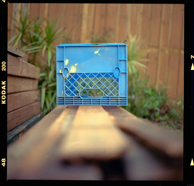 Film photo shot on Kodak Gold 200 with a Zenza Bronica EC, developed at Coastal Film Lab, by Ethan