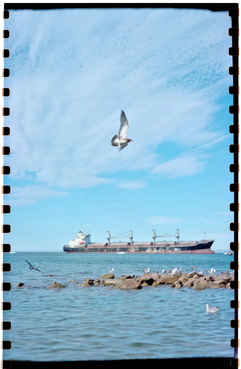 The Stranded Giant and the Soaring Seagull shot on Kodak 5203 with a Moscow Moscow 2, developed at Home / Self-Developed, by Blaze_BIG
