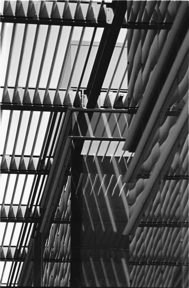 Lines shot on Ilford HP5 Plus 400 with a Nikon F801, developed at Home / Self-Developed, by Filipe Pinto