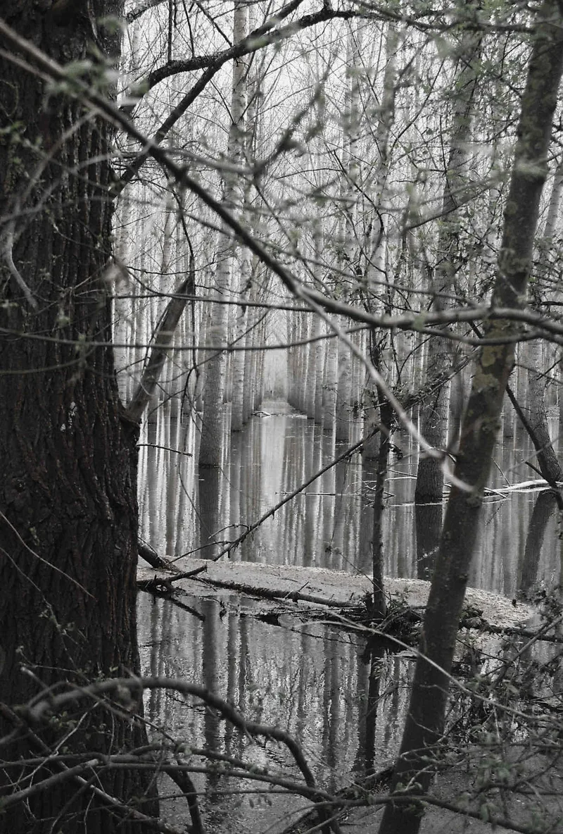 Flood wonders shot on Ilford HP5 Plus 400 with a Minolta Dynax 404si, developed at Labo Germain Photo, by Ambre