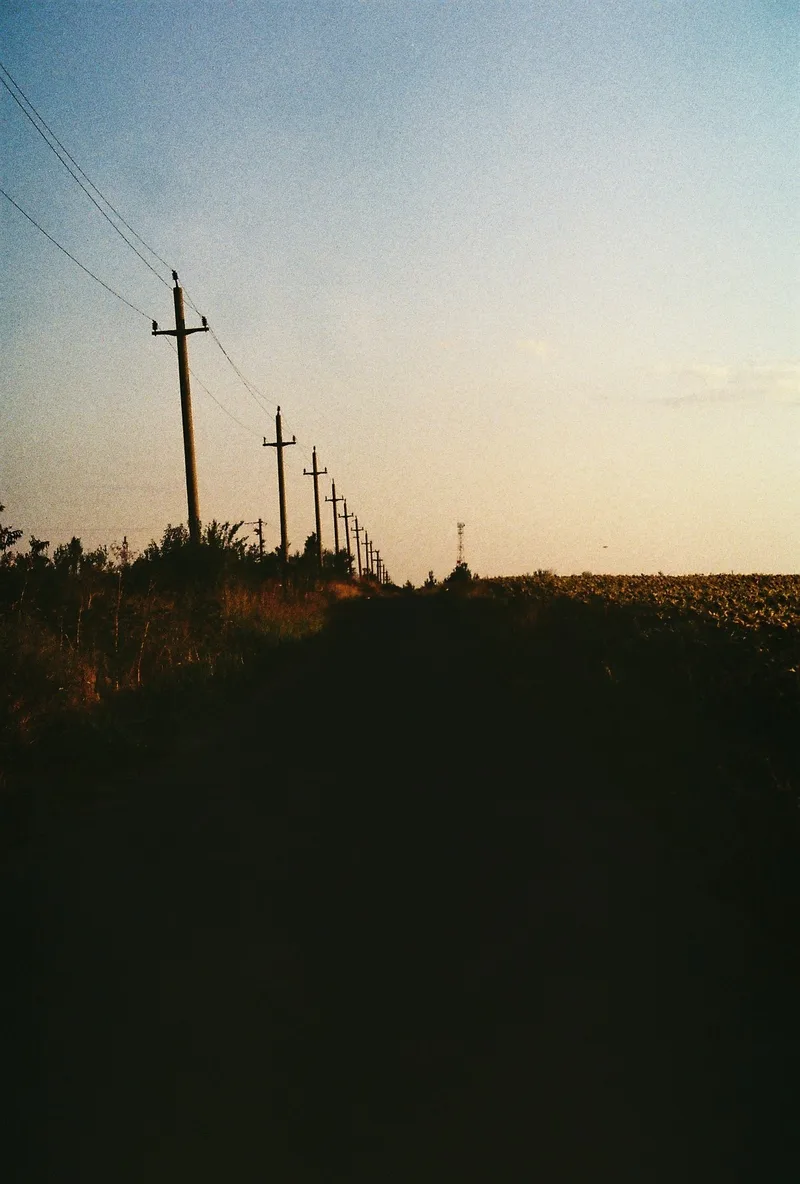 Film photo shot on Fujifilm FujiColor C200 with a Canon EOS 1000FN, by Oriana