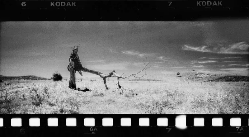 The Fallen shot on Kodak HIE High-Speed Infrared with a Hasselblad Xpan, by Jeremy Allen Wieczorek