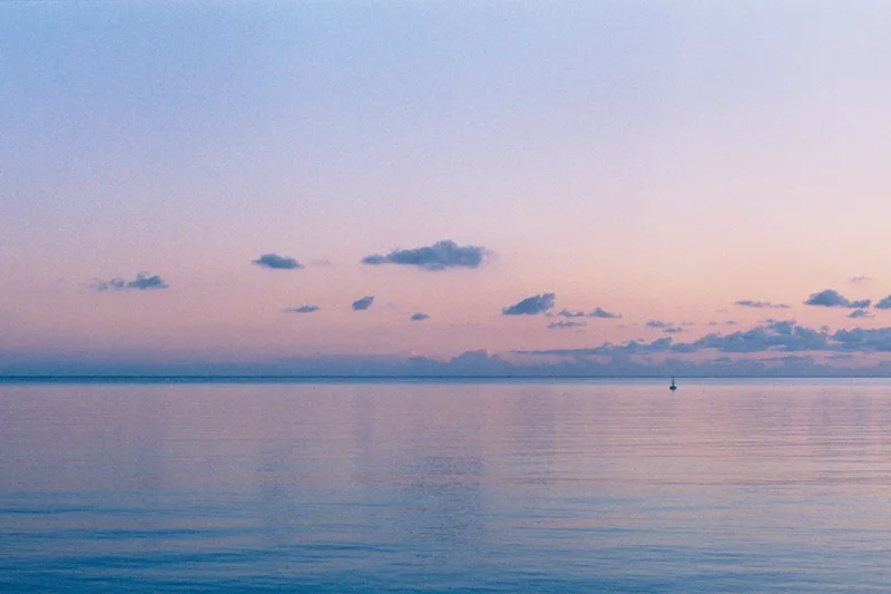 Sea of Serenity shot on Cinestill 800T with a Canon A-1, developed at Foto Weckbrodt, by Chillsburg