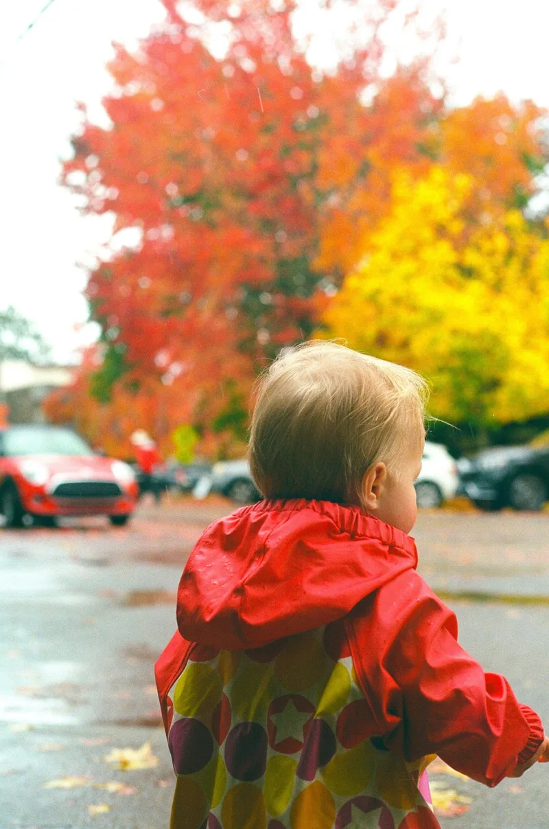Rainy Fall shot on Kodak Gold 200 with a Canon AE-1 Program, developed at Shot on Film Store, by Jacob Malpocker