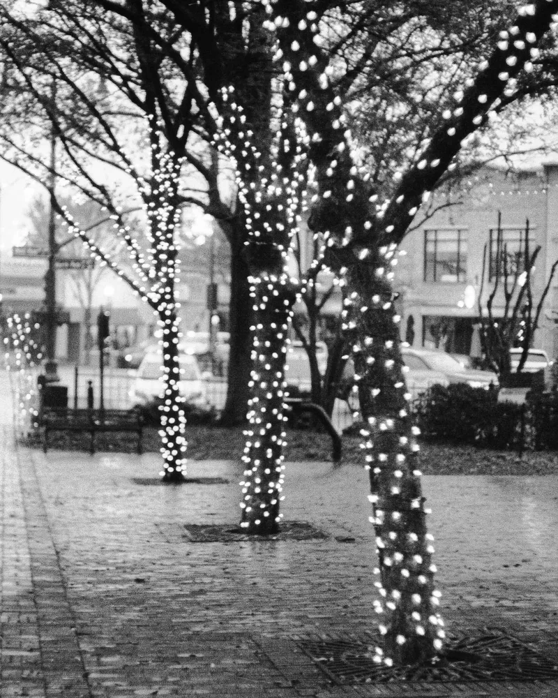 Lit shot on Film Photography Project Frankenstein 200 with a Yashica Lynx5000, developed at Home / Self-Developed, by Ryan Jensen