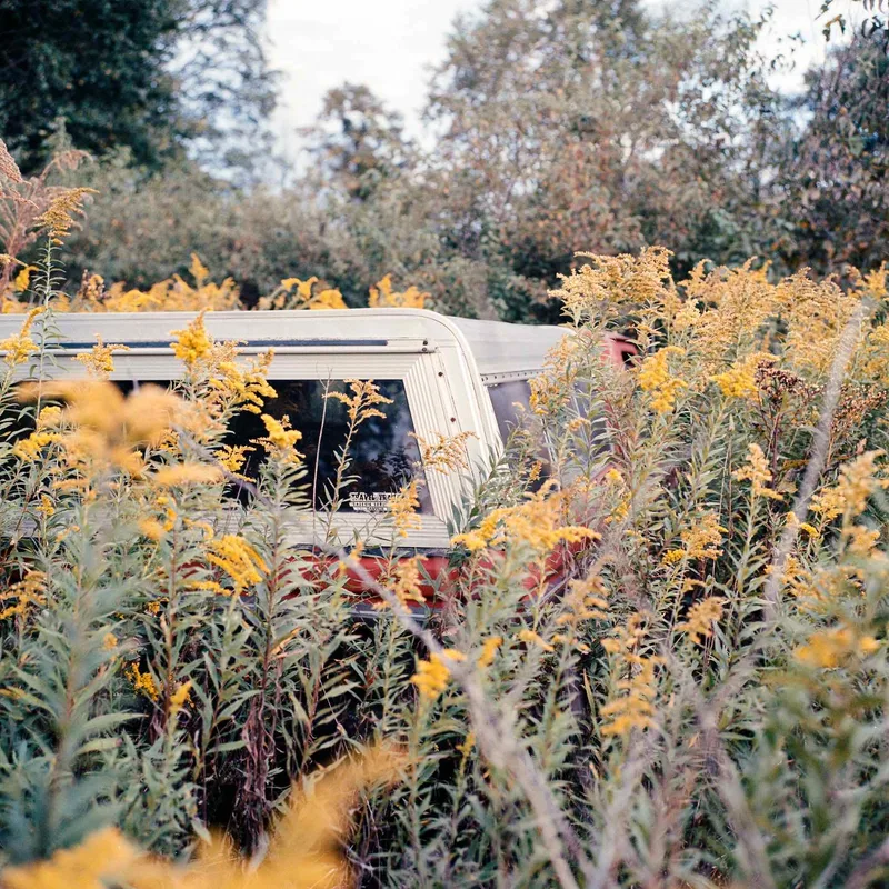 Film photo shot on Kodak Portra 400 with a Rolleiflex 3.5E, developed at Dodge Chrome, by Ryan