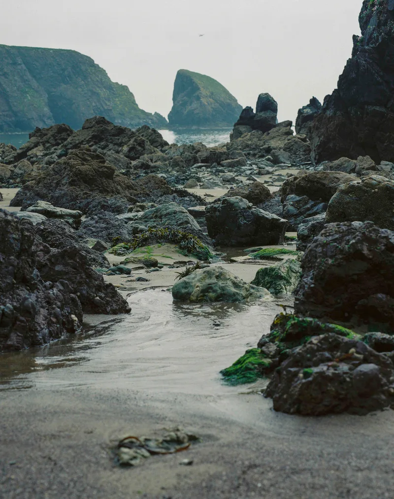 Beach in Dungarvan shot on Lomography CN 400 with a Mamiya RB67, developed at John Gunn Cameras, by Marc Argentique